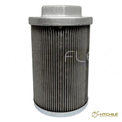 FILTRO DE SUCCION 125 MICRONES 1 1/4 BSP FS1-30-B6T125 — HidraTec Chile